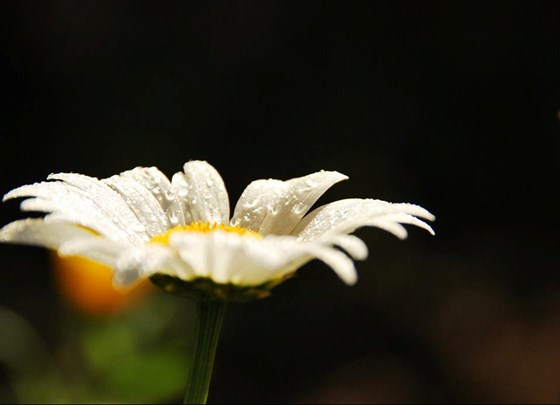 мое портфолио: мои работы