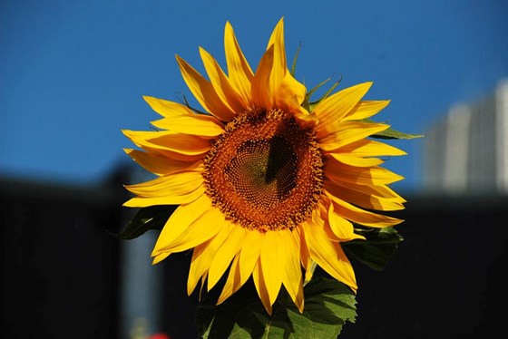 мое портфолио: мои работы