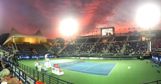 мое портфолио: мои работы